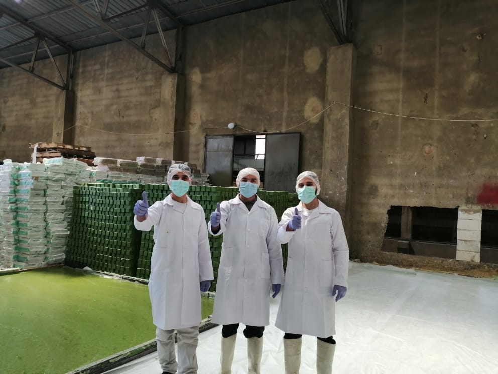 Productie bij Olive Kingdom